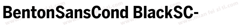 BentonSansCond BlackSC字体转换